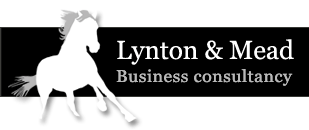Lynton & Mead Business consultancy